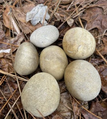 Wholesale Sand Tropical Beach Pebbles supplied in bags pallets and super sacks